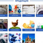 Пример аудита интернет-магазина: td-rassvet.ru производитель бытовой химии.